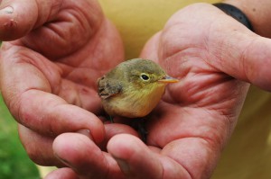 Random acts of kindness can change the world